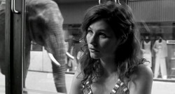 Ҹ���� ������� | Voksne Mennesker | Dark Horse (2005)