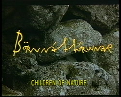 ���� ������� | B&ouml;rn n&aacute;tt&uacute;runnar | Children of Nature (1991)