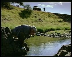 ���� ������� | B&ouml;rn n&aacute;tt&uacute;runnar | Children of Nature (1991)