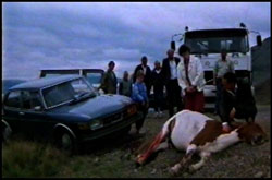 ����� ���� | Skytturnar | White Whales (1987)