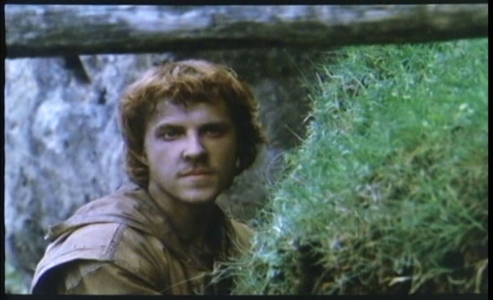 ����� ������ | Hrafninn fl&yacute;gur | When the Raven Flies (1984)