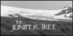 ������������ | The Juniper Tree | 1990