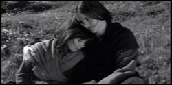 ������������ | The Juniper Tree | 1990
