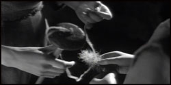������������ | The Juniper Tree | 1990