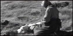 ������������ | The Juniper Tree | 1990