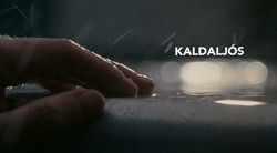 �������� ���� | Kaldalj&oacute;s | Cold Light (2004)
