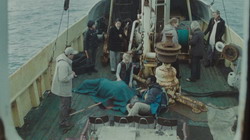 ������ (����� �� ���������� �����) | Reykjav&iacute;k Whale Watching Massacre (2009) (2009)